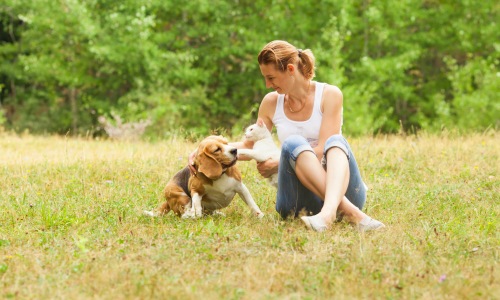 Bring Your Pet Home to Birdsong at Leon Springs Cover Image